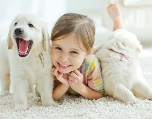 Book Review: Dogs – A Kid’s Book of DOG BREEDS Dogs and A Kid Book of DOG BREEDS