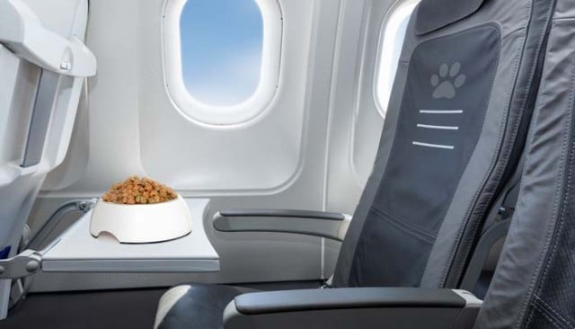 Flying With A Dog - Short Dog Travel Guide for Pet Parents 2 Flying With A Dog - Short Dog Travel Guide for Pet Parents 2