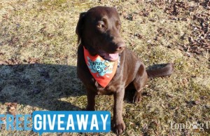 Giveaway: $40+ Doggy Prize Pack From Heads Up For Tails Heads-Up-For-Tails-Giveaway