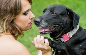 Let’s Talk: How to Become a Foster Parent for Dogs How to Become a Foster Parent for Dogs