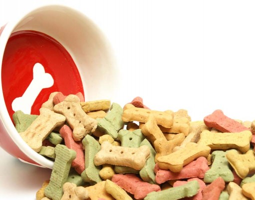 How to Know Which is the Healthiest Dog Food? How to Know Which is the Healthiest Dog Food