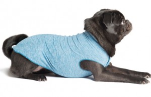 Sun Shield Tees May Protect Your Pet From Skin Cancer Sun Shield Tees Can Protect Your Dog From the Sun