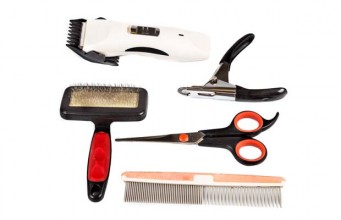 Top 5 Essential Dog Grooming Supplies for Under $10 Top Best Cheap Dog Grooming Supplies