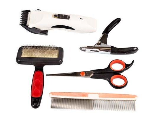Top 5 Essential Dog Grooming Supplies for Under $10 Top Best Cheap Dog Grooming Supplies