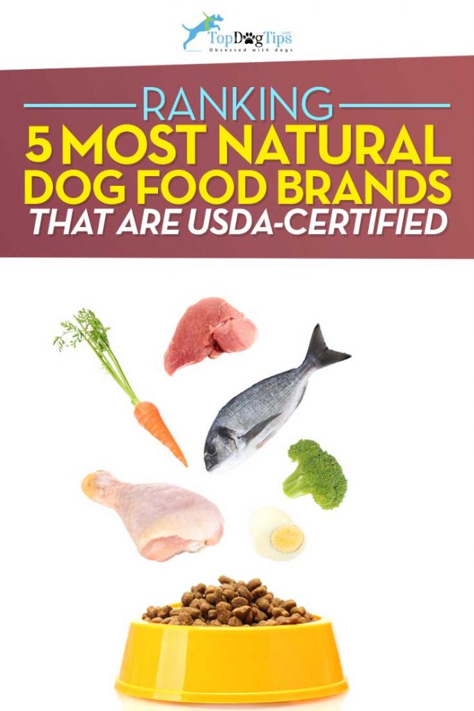 Top 5 Best Natural Dog Food That's USDA Certified & Healthy