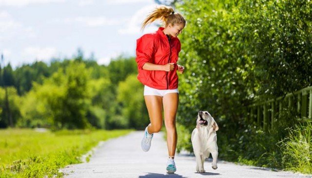 View of 8 Tips for Walking Your Dog Safely Every Single Day
