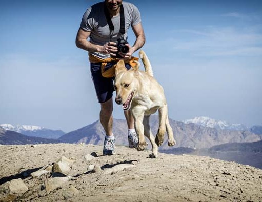 Top 5 Best Hands Free Dog Leashes What is the Best Hands Free Dog Leash Reviews