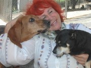 Woman Sacrifices Everything to Save Hundreds of Dogs in Need Woman Sacrifices Everything to Save Hundreds of Dogs in Need