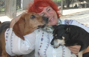 Woman Sacrifices Everything to Save Hundreds of Dogs in Need Woman Sacrifices Everything to Save Hundreds of Dogs in Need