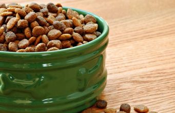 5 Best Natural Dog Food That’s USDA-Certified Best Natural Dog Food Brands - USDA Certified