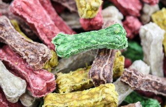 Top 5 Best Organic Dog Treats (USDA Organic Certified) Best Organic Dog Treats