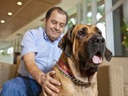 Canadian Hospital Welcomes Dogs with Open Arms Canadian Hospital Welcomes Dogs with Open Arms