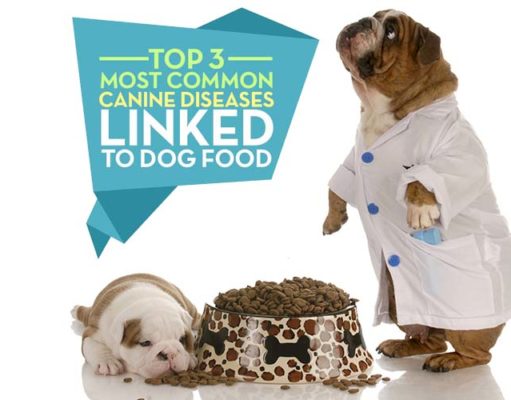 3 Canine Diseases Linked to Dog Food and Nutrition Dog Diseases Linked to Dog Food and Nutrition