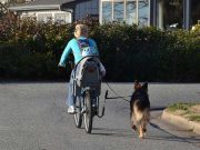Harvard Study Reveals Dog Owners Are Healthier Harvard Study Reveals Dog Owners Are Much Healthier