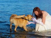 Is Your Dog One of the Most Important People in Your Life? Is Your Dog One of the Most Important People in Your Life