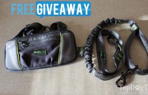 Giveaway: Mutts And the City Hands Free Dog Leash System Mutts and the City Dog Leash System Giveaway