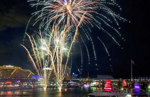 Noiseless Fireworks Could Help Your Dog’s Anxiety Noiseless Fireworks Could Help Your Dog's Anxiety