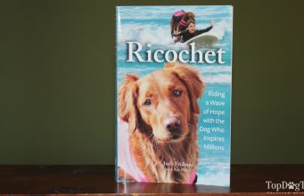 Book Review: Ricochet Written By Judy Fridono Ricochet Written By Judy Fridono