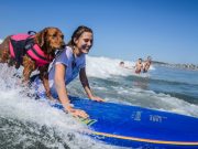 Upcoming Film to Feature Real Life Super Dogs Ricochet written by Judy Fridono