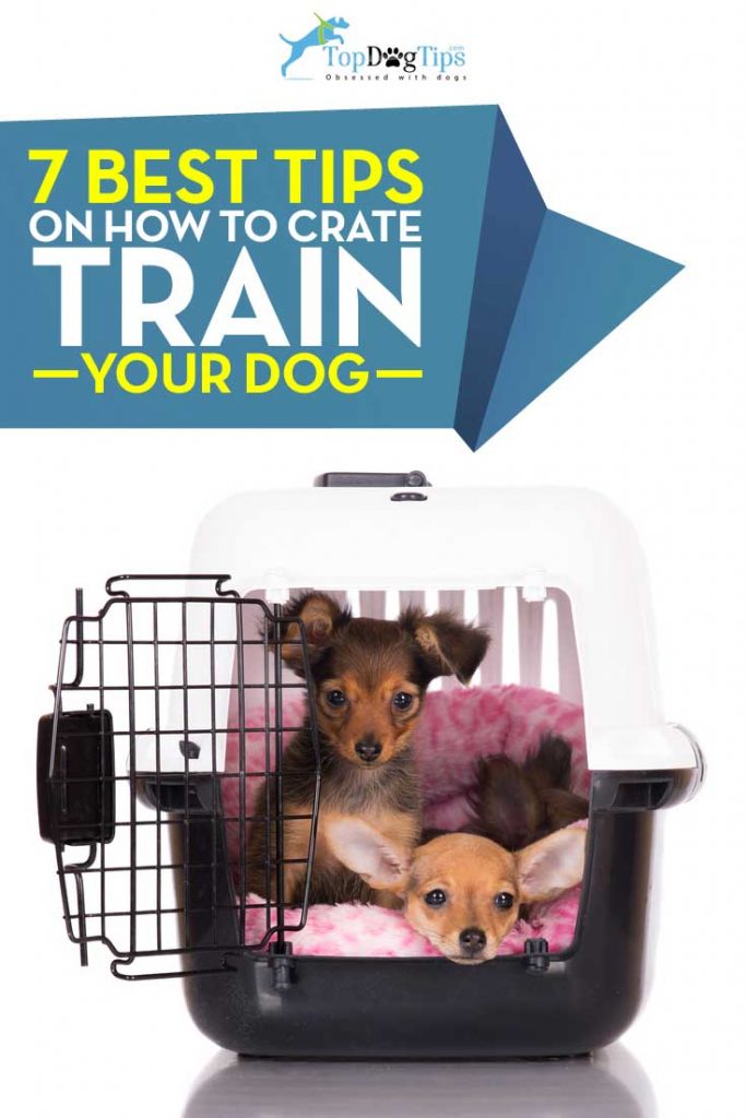 Image showcasing 7 Tips for Crate Training Your Dog and How to Do It Right