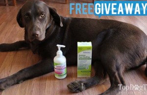 Giveaway: TriDerma Healing Cream and Shampoo for Dogs ($45+ Value) TriDerma Dog Healing Cream and Dog Shampoo Giveaway