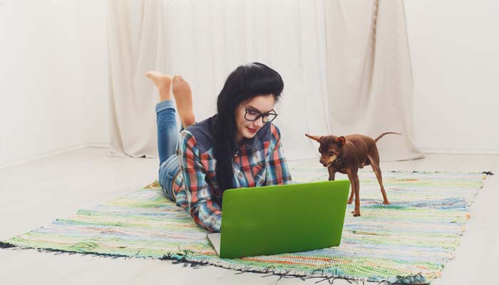 Picture of Wholesale Grooming Supplies | Groomer's Choice, a Senproco Inc Company