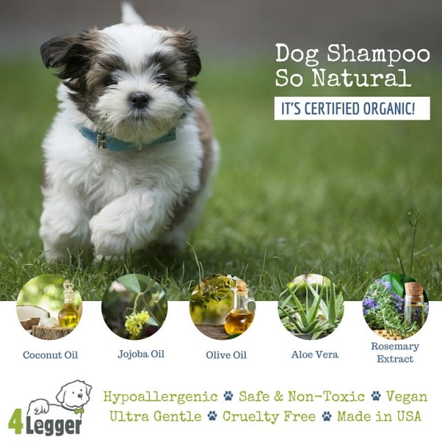 Interview How To Choose the Best Dog Grooming Products Top Dog Tips