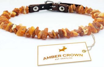Review: Amber Crown Natural Flea and Tick Collars for Dogs Amber Crown Natural Flea and Tick Collars for Dogs Review