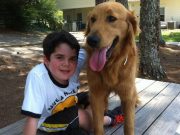 Boy and Dog Forever Immortalized in Pages of Yearbook Boy and Dog Forever Immortalized in Pages of Yearbook