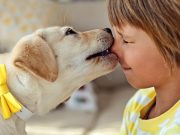 Can Children Help Reduce Dog Anxiety? Watch This Incredible Video Can Children Help Reduce Dog Anxiety