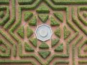 This is Why You Should Never Belittle Your Dog This is Why You Should Never Belittle Your Dog