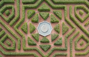 This is Why You Should Never Belittle Your Dog This is Why You Should Never Belittle Your Dog