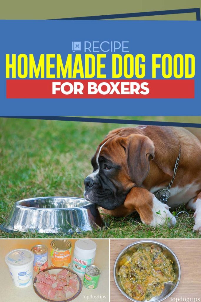Recipe Homemade Dog Food for Boxers Top Dog Tips
