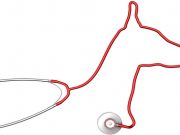 Human and Dogs Heartbeats Align Human and Dogs Heartbeats Align