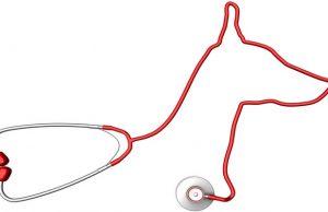 Human and Dogs Heartbeats Align Human and Dogs Heartbeats Align