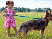 If Your Children Aren’t Doing This, They Should Be! If Your Children Aren't Doing This, They Should Be