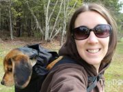 Review: K9 Sport Sack Dog Backpack K9 Sport Sack Dog Backpack Review