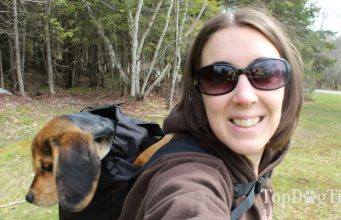 Review: K9 Sport Sack Dog Backpack K9 Sport Sack Dog Backpack Review