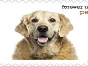 Pets on Postage Stamps? FINALLY! Pets on Postage Stamps