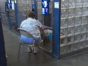 Simple Task Makes a HUGE Difference for Shelter Dogs Simple Task Makes a HUGE Difference for Shelter Dogs