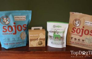 Review: Sojos Raw Dog Food and Dog Treats Sojos Raw Dog Food and Dog Treats Review