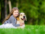 Unbelievable Service Dog Saves Girl From 5 Miles Away! Unbelievable Service Dog Saves Girl From 5 Miles Away!