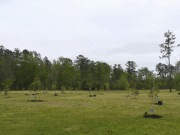 You Need to See This Tribute to the Victim’s of Michael Vick’s Dog Fighting Ring You Need to See This Tribute to the Victim's of Michael Vick's Dog Fighting Ring