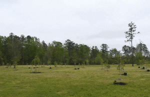 You Need to See This Tribute to the Victim’s of Michael Vick’s Dog Fighting Ring You Need to See This Tribute to the Victim's of Michael Vick's Dog Fighting Ring