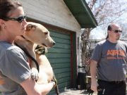 You’ll Never Believe What Happened to These Poor Dogs You’ll Never Believe What Happened to These Poor Dogs