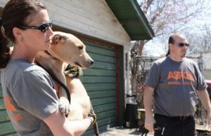 You’ll Never Believe What Happened to These Poor Dogs You’ll Never Believe What Happened to These Poor Dogs