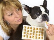 20 Best Vitamins for Dogs for Pet’s Optimal Health best vitamins for dogs