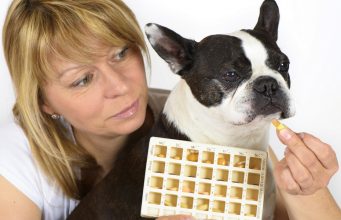 20 Best Vitamins for Dogs for Pet’s Optimal Health best vitamins for dogs