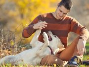 Could You Make a Dog This Happy? could you make a dog this happy
