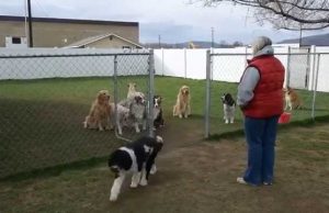 This Funny Video Proves There’s Always One Odd Ball In The Group